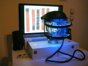 New Media Young Blood